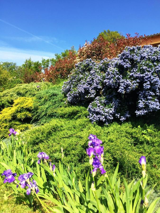 Appartamento Le Petit Berthier Gilhoc-sur-Ormeze Esterno foto